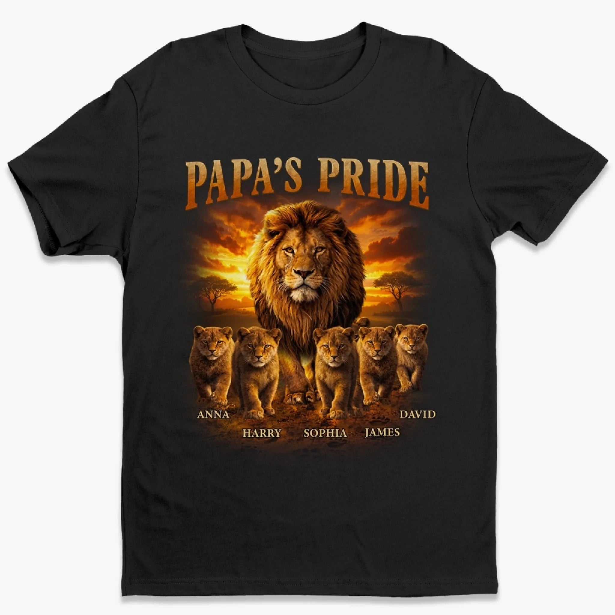 Custom Unisex T-shirt, Premium T-shirt, Hoodie - Personalized Father's Day Birthday Gifts For Dad, Grandpa - You Are ...